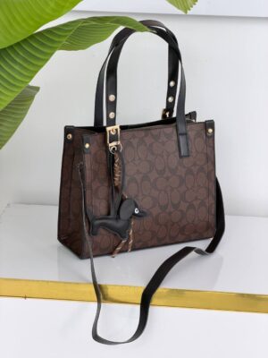 کیف زنانه کوچ (۳۲۶)